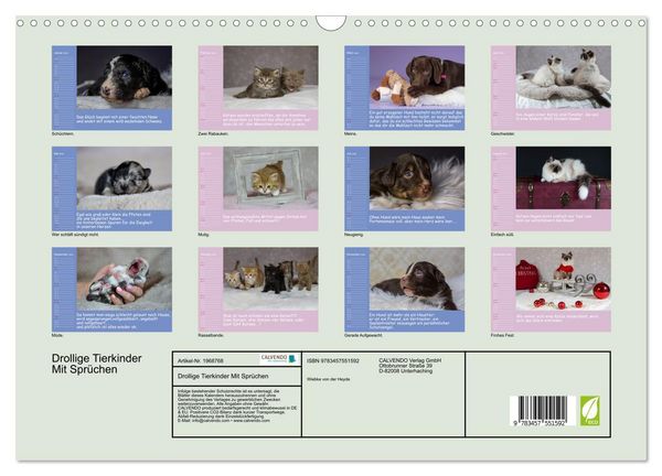 Produktbild: Drollige Tierkinder Mit Spr&uuml;chen (Wandkalender 2026 DIN A3 quer), CALVENDO Monatskalender