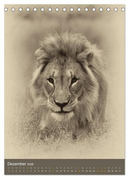 Produktbild: Afrikas Tierwelt - Sepia-Art (Tischkalender 2026 DIN A5 hoch), CALVENDO Monatskalender