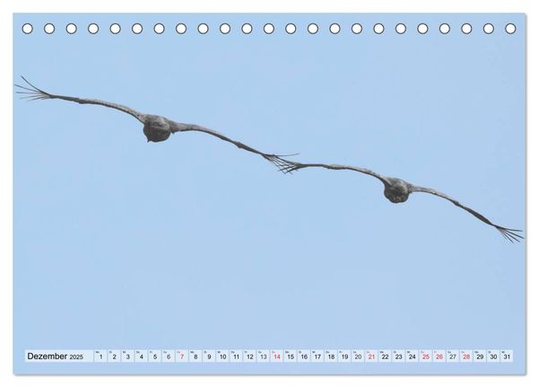 Produktbild: Kraniche auf dem Weg nach S&uuml;den (Tischkalender 2025 DIN A5 quer), CALVENDO Monatskalender
