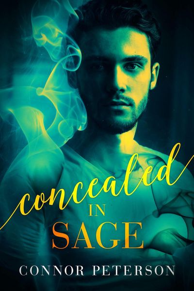 Produktbild: Concealed in Sage (Nightbreak, #2)