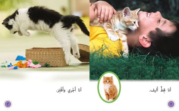 Produktbild: Big Cat Arabic - Tame Cat, W