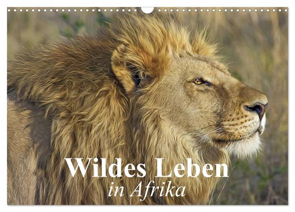 Produktbild: Wildes Leben in Afrika (Wandkalender 2026 DIN A3 quer), CALVENDO Monatskalender
