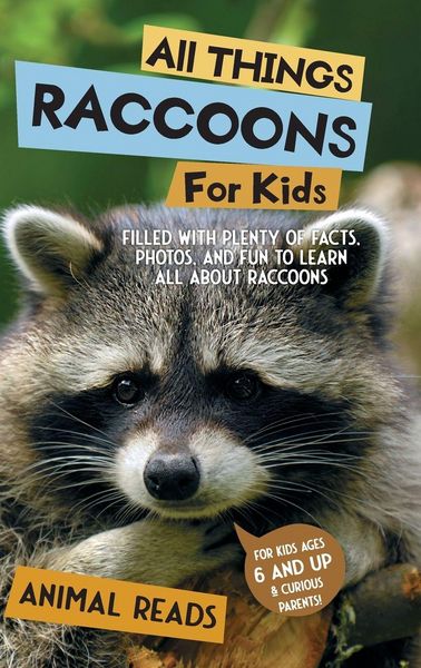 Produktbild: All Things Raccoons For Kids