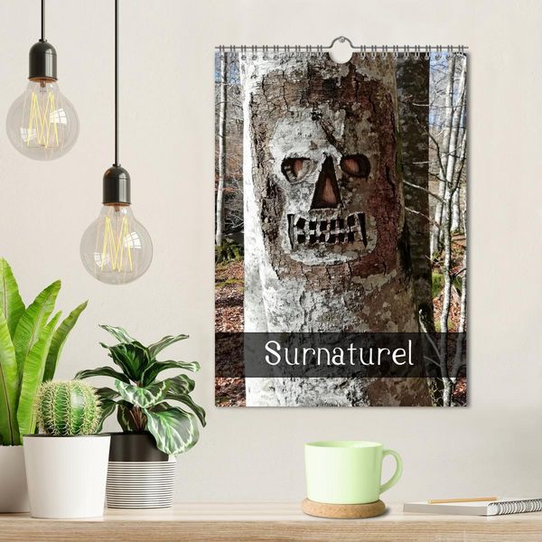 Produktbild: Surnaturel (Calendrier mural 2026 DIN A4 horizontal), CALVENDO calendrier mensuel