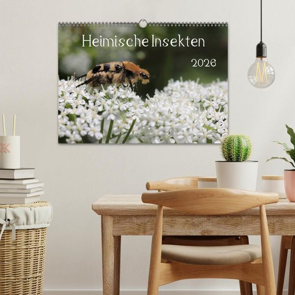 Produktbild: Heimische Insekten 2026 (Wandkalender 2026 DIN A3 quer), CALVENDO Monatskalender