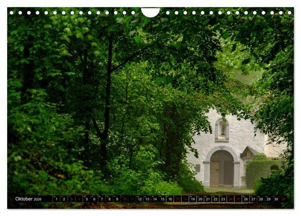 Produktbild: Wege des einfachen Gl&uuml;cks - Spazierg&auml;nge im Wald (Wandkalender 2026 DIN A4 quer), CALVENDO Monatskalender