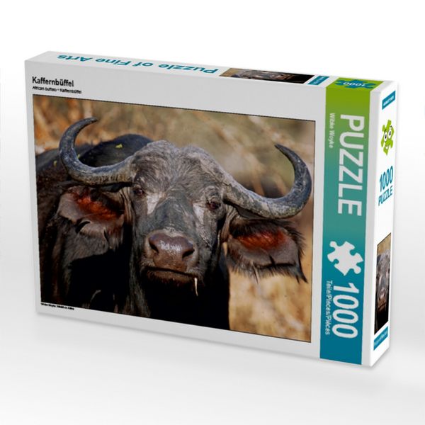 Produktbild: CALVENDO Puzzle Kaffernb&uuml;ffel | 1000 Teile Lege-Gr&ouml;&szlig;e 64x48cm Foto-Puzzle f&uuml;r gl&uuml;ckliche Stunden