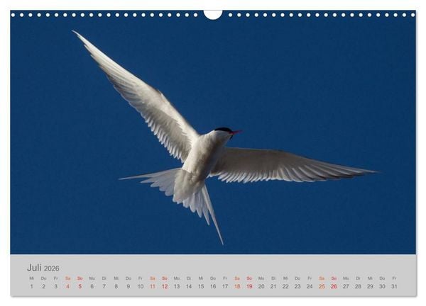 Produktbild: Spitzbergen 80&deg; Nord (Wandkalender 2026 DIN A3 quer), CALVENDO Monatskalender