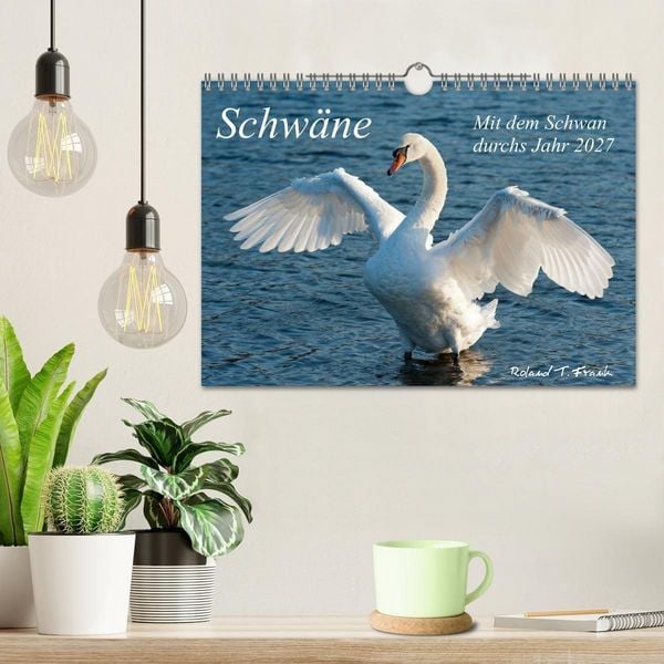 Produktbild: Mit dem Schwan durchs Jahr 2027 (Wandkalender 2027 DIN A4 quer), CALVENDO Monatskalender