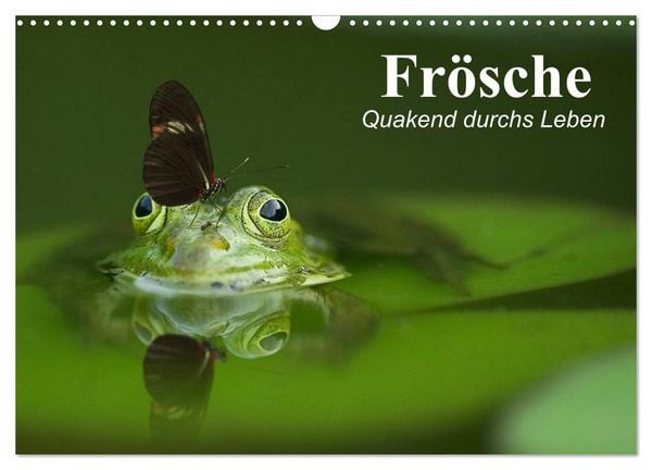 Produktbild: Fr&ouml;sche. Quakend durchs Leben (Wandkalender 2026 DIN A3 quer), CALVENDO Monatskalender