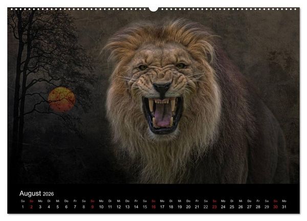 Produktbild: Tierisches (Wandkalender 2026 DIN A2 quer), CALVENDO Monatskalender