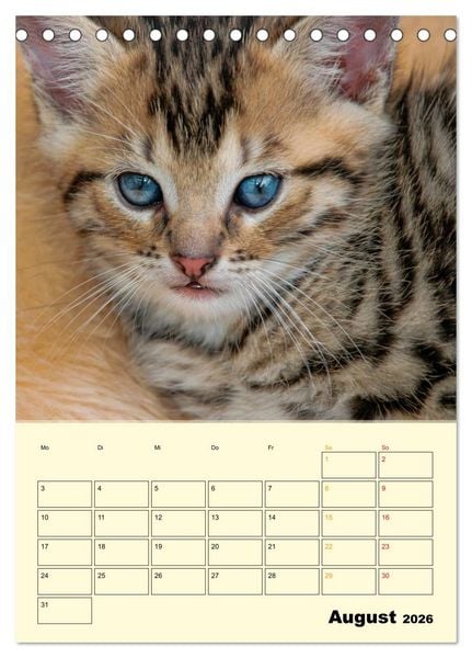 Produktbild: K&auml;tzchen - Theater (Tischkalender 2026 DIN A5 hoch), CALVENDO Monatskalender
