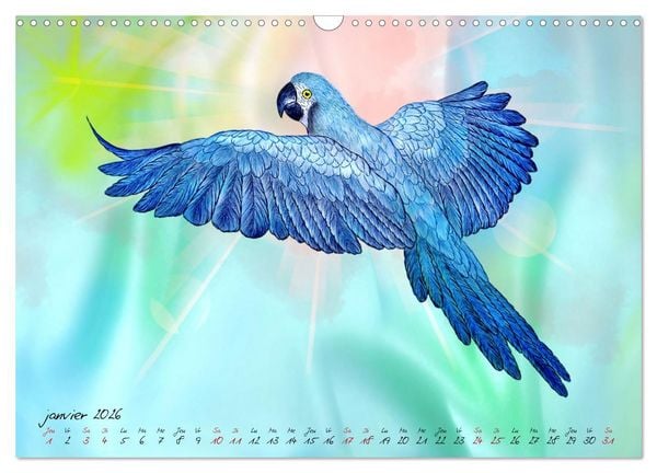 Produktbild: Dessins de perroquets (Calendrier mural 2026 DIN A3 vertical), CALVENDO calendrier mensuel