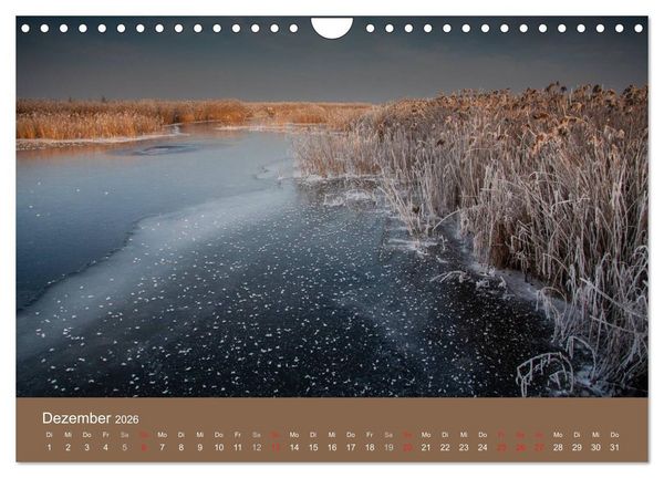 Produktbild: Der Federsee - Vogelparadies in Oberschwaben (Wandkalender 2026 DIN A4 quer), CALVENDO Monatskalender