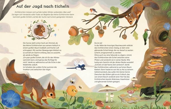 Produktbild: Kleine Geschichten aus der Natur
