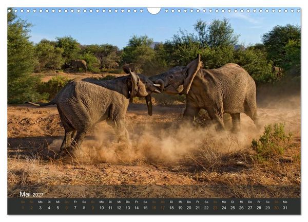 Produktbild: Elefanten (Wandkalender 2027 DIN A3 quer), CALVENDO Monatskalender