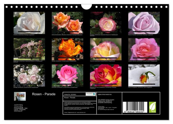 Produktbild: Rosen - Parade (Wandkalender 2026 DIN A4 quer), CALVENDO Monatskalender