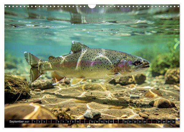 Produktbild: Forellen im Fluss (Wandkalender 2027 DIN A3 quer), CALVENDO Monatskalender