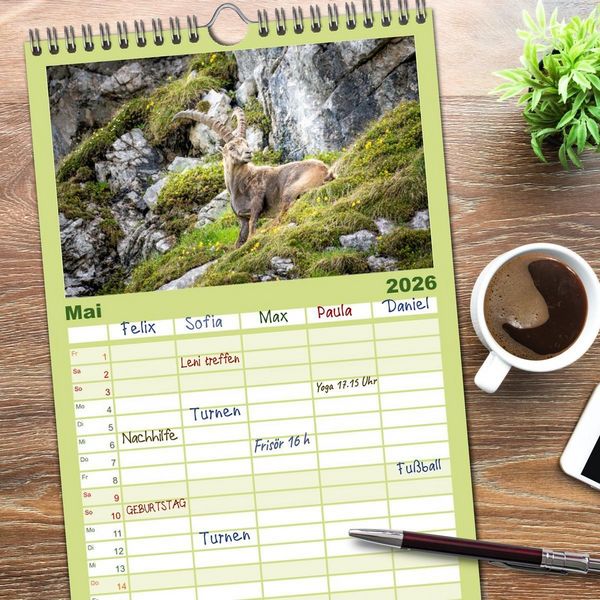 Produktbild: Familienplaner 2026 - Steinb&ouml;cke - Majest&auml;tische Tiere der Alpen mit 5 Spalten (Wandkalender, 21 x 45 cm) CALVENDO