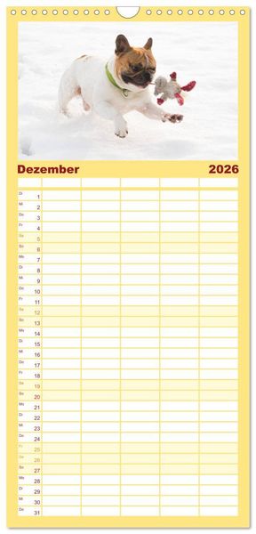 Produktbild: Familienplaner 2026 - Franz&ouml;sische Bulldoggen - Schutzengel auf 4 Pfoten mit 5 Spalten (Wandkalender, 21 x 45 cm) CALVENDO