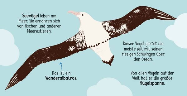 Produktbild: 50 W&ouml;rter &uuml;ber die Natur - V&ouml;gel