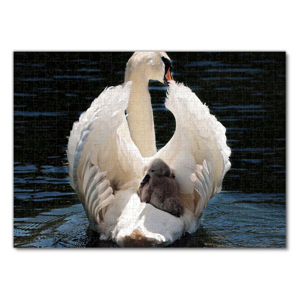 Produktbild: Lais Puzzle Schwan 500 Teile