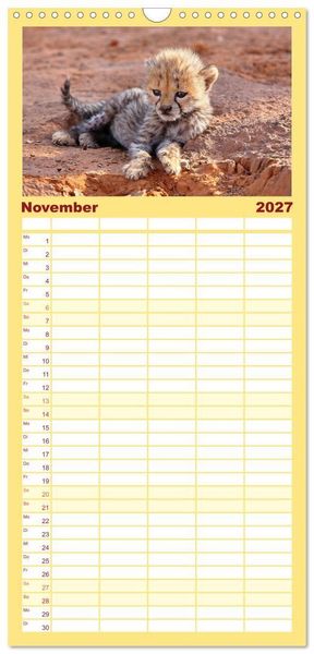 Produktbild: Familienplaner 2027 - Geparden - Begegnungen in Afrika mit 5 Spalten (Wandkalender, 21 x 45 cm) CALVENDO