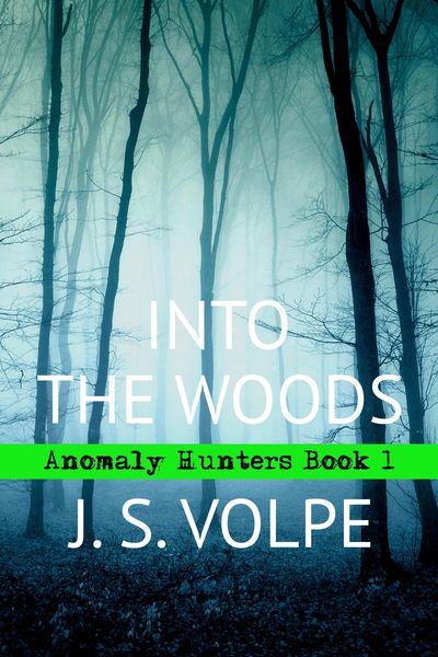 Produktbild: Into the Woods (Anomaly Hunters, Book One)