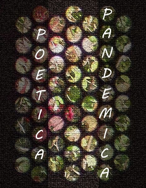 Produktbild: Poetica Pandemica