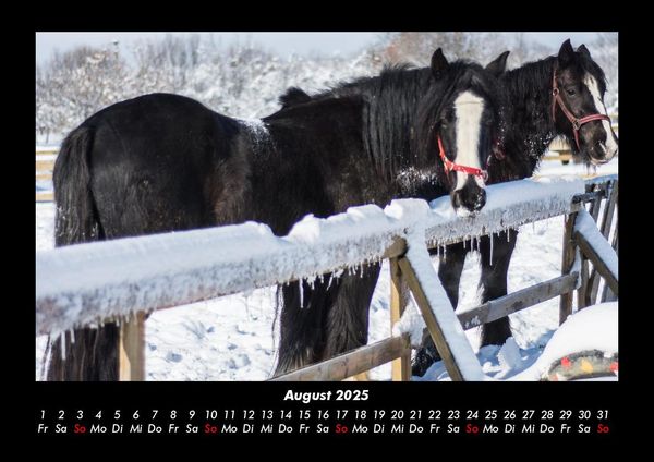 Produktbild: Winterzauber 2025 Fotokalender DIN A3