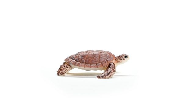 Produktbild: schleich&reg; 14876 Echte Karettschildkr&ouml;te