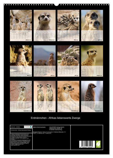 Produktbild: Erdm&auml;nnchen - Afrikas liebenswerte Zwerge (hochwertiger Premium Wandkalender 2026 DIN A2 hoch), Kunstdruck in Hochglanz