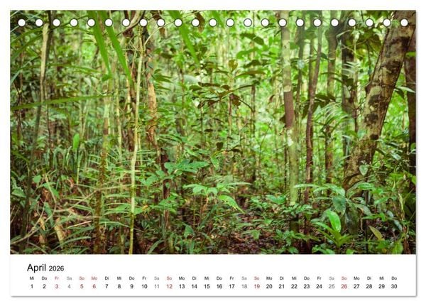 Produktbild: Mythos Amazonas - Naturparadies Brasiliens (Tischkalender 2026 DIN A5 quer), CALVENDO Monatskalender