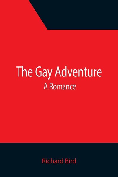 Produktbild: The Gay Adventure