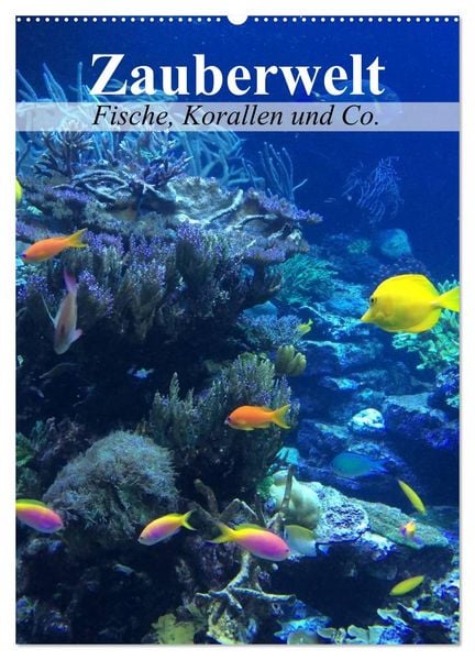 Produktbild: Zauberwelt. Fische, Korallen und Co. (Wandkalender 2026 DIN A2 hoch), CALVENDO Monatskalender