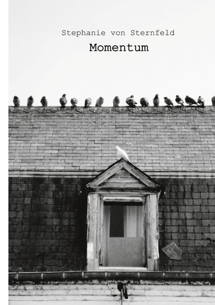 Produktbild: Momentum
