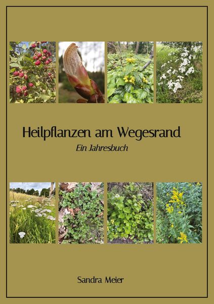 Produktbild: Heilpflanzen am Wegesrand