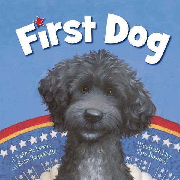 Produktbild: First Dog