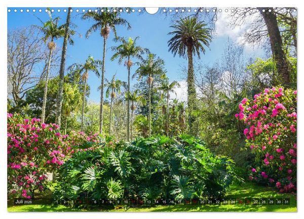 Produktbild: Terra Nostra Garten - ein botanisches Juwel auf den Azoren (Wandkalender 2026 DIN A3 quer), CALVENDO Monatskalender