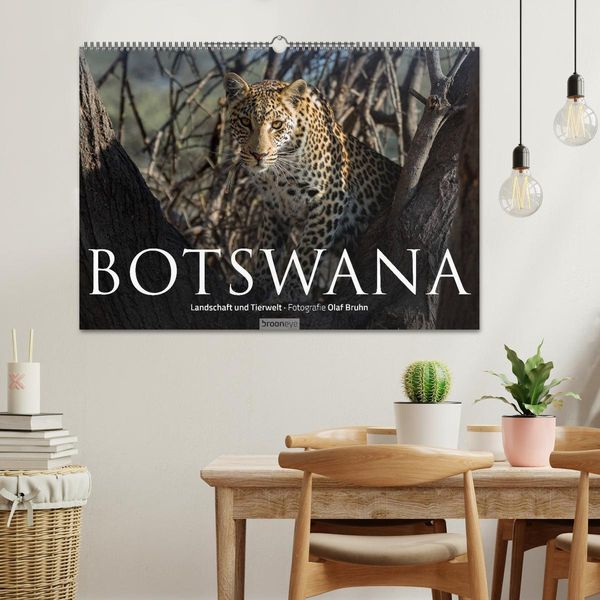 Produktbild: Botswana &ndash; Landschaft und Tierwelt (Wandkalender 2026 DIN A2 quer), CALVENDO Monatskalender