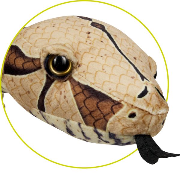 Produktbild: Boa constrictor / Nature Zoom