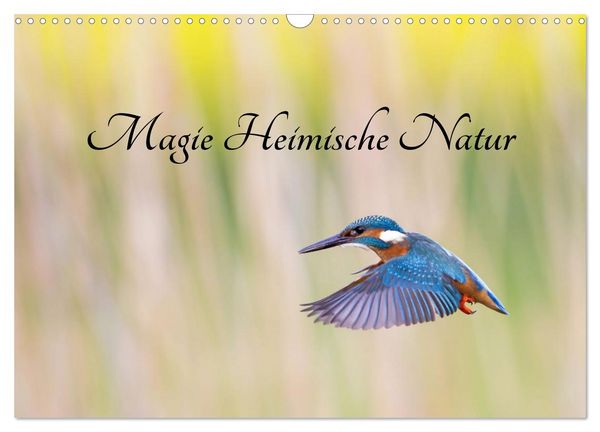 Magie Heimische Natur (Wandkalender 2026 DIN A3 quer), CALVENDO Monatskalender