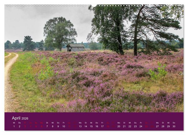 Produktbild: Die Heide bl&uuml;ht (hochwertiger Premium Wandkalender 2026 DIN A2 quer), Kunstdruck in Hochglanz