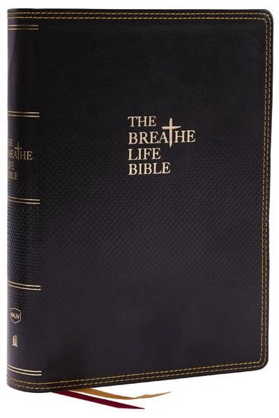 Produktbild: Thomas Nelson: Breathe Life Holy Bible: Faith in Action (Nkj