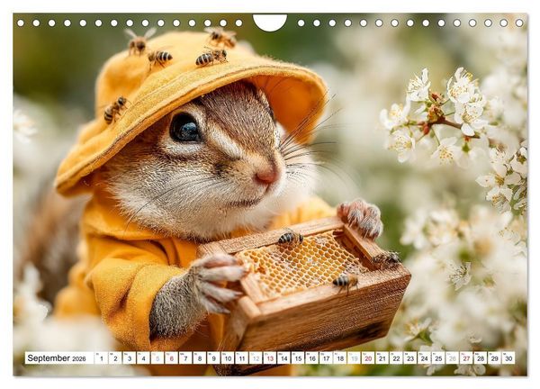 Produktbild: Eichh&ouml;rnchen - Die lustigen Tiere und ihre Berufe im Wald (Wandkalender 2026 DIN A4 quer), CALVENDO Monatskalender