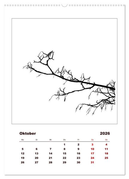 Produktbild: LignoGrafica - Muster und Strukturen der B&auml;ume (Wandkalender 2026 DIN A2 hoch), CALVENDO Monatskalender
