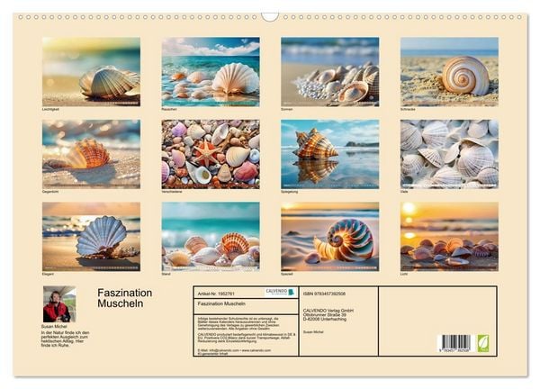 Produktbild: Faszination Muscheln (Wandkalender 2026 DIN A2 quer), CALVENDO Monatskalender