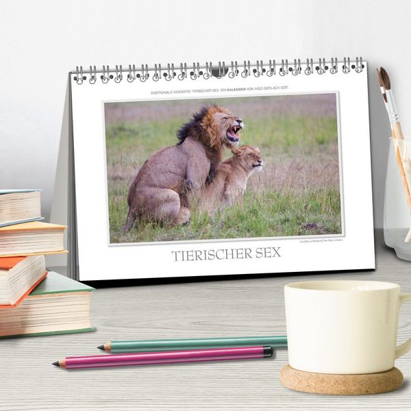 Produktbild: Emotionale Momente: Tierischer Sex. (Tischkalender 2026 DIN A5 quer), CALVENDO Monatskalender