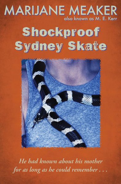 Produktbild: Shockproof Sydney Skate
