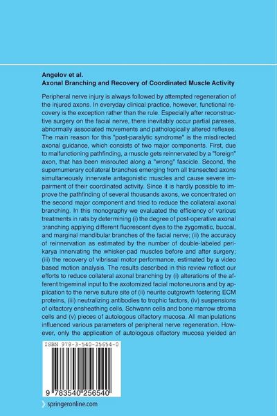 Produktbild: Axonal Branching and Recovery of Coordinated Muscle Activity after Transsection of the Facial Nerve in Adult Rats